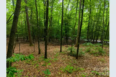 243 Jonquil Woods Road, Franklin, NC 28734 - Photo 41