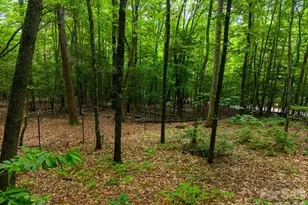243 Jonquil Woods Rd, Franklin, NC 28734 - Photo 41