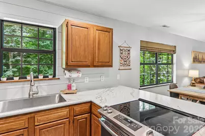 125 Nugget Lane, Sylva, NC 28779 - Photo 9