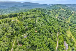 145 Lucas Ln, Mars Hill, NC 28754 - Photo 33