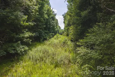 Tbd Jeff Price Lane, Taylorsville, NC 28681 - Photo 21