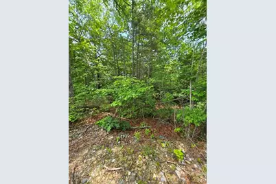 169 Fairfield Lane, Marion, NC 28752 - Photo 13