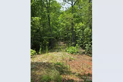 169 Fairfield Lane, Marion, NC 28752 - Photo 9