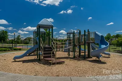10102 Stonesby Lane, Waxhaw, NC 28173 - Photo 39
