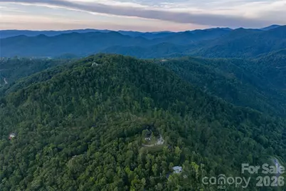 145 Kalmia Drive, Asheville, NC 28804 - Photo 39