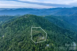 145 Kalmia Dr, Asheville, NC 28804 - Photo 37