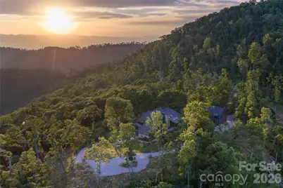 145 Kalmia Drive, Asheville, NC 28804 - Photo 39