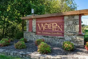 51 Barn Owl Way, Hendersonville, NC 28792 - Photo 35