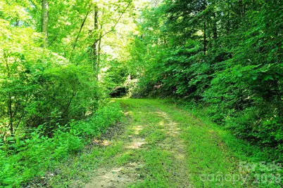 00 River Road, Columbus, NC 28782 - Photo 3