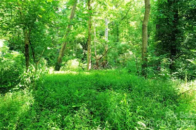 00 River Road, Columbus, NC 28782 - Photo 15
