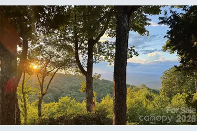 298 Tinequa Drive, Brevard, NC 28712 - Photo 23