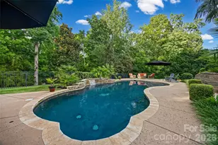 233 Squirrel Ln, Clover, SC 29710 - Photo 39