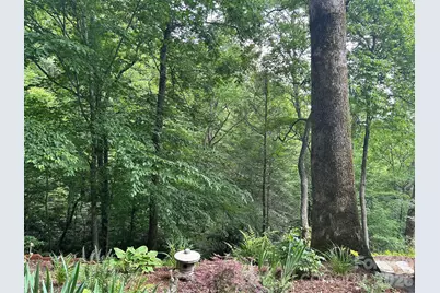 20 Kimberly Road, Black Mountain, NC 28711 - Photo 35