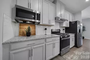 888 Prince Garret Way, Denver, NC 28037 - Photo 11