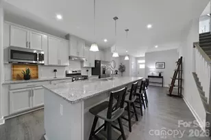 888 Prince Garret Way, Denver, NC 28037 - Photo 9