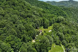 2426 Wesley Creek Rd, Clyde, NC 28721 - Photo 27