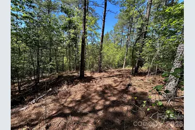 1175 Hidden Cove Lane, Connelly Springs, NC 28612 - Photo 3