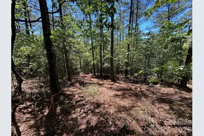 1175 Hidden Cove Lane, Connelly Springs, NC 28612 - Photo 7