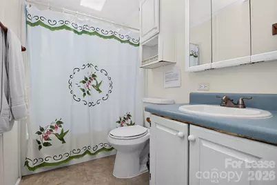 120 Stepaside Lane, Mooresville, NC 28117 - Photo 19