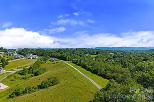 72 Ed De Bruhl Rd, Alexander, NC 28701 - Photo 25