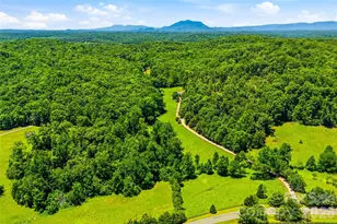 3012 Polk County Line Rd, Rutherfordton, NC 28139 - Photo 47