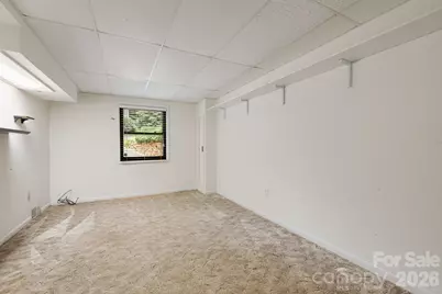 10 Botany View Court, Asheville, NC 28805 - Photo 39