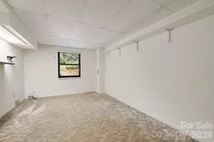 10 Botany View Ct, Asheville, NC 28805 - Photo 39