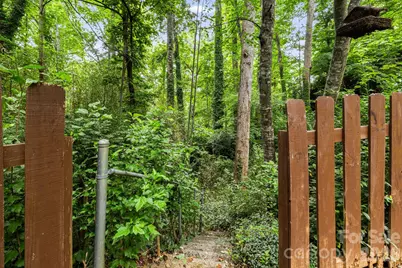 10 Botany View Court, Asheville, NC 28805 - Photo 43