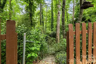 10 Botany View Ct, Asheville, NC 28805 - Photo 43