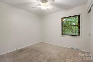 10 Botany View Ct, Asheville, NC 28805 - Photo 25