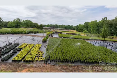 1350 Lee Cudd Road, Rutherfordton, NC 28139 - Photo 3
