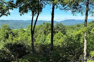 48 S Mountain Morning Ln, Hendersonville, NC 28739 - Photo 5