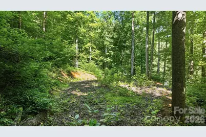 618 Dark Ridge Road, Sylva, NC 28779 - Photo 15