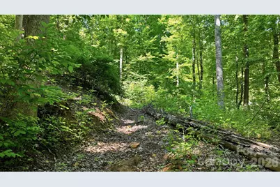 618 Dark Ridge Road, Sylva, NC 28779 - Photo 11