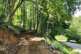618 Dark Ridge Rd, Sylva, NC 28779 - Photo 1
