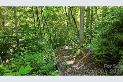 618 Dark Ridge Road, Sylva, NC 28779 - Photo 17