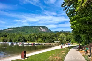 1943 Buffalo Creek Rd, Lake Lure, NC 28746 - Photo 43