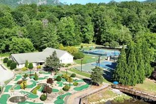 1943 Buffalo Creek Rd, Lake Lure, NC 28746 - Photo 47