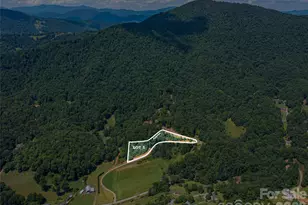 000 Locust Rough Mountain Rd, Burnsville, NC 28714 - Photo 1