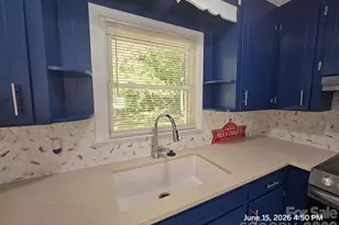 1050 S Lake Dr, Lancaster, SC 29720 - Photo 3