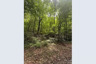 000 Summit Road #343, Tryon, NC 28782 - Photo 3