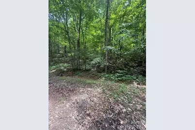 000 Summit Road #343, Tryon, NC 28782 - Photo 7