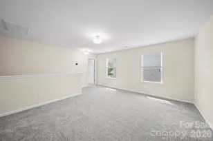 447 Tayberry Ln, Fort Mill, SC 29715 - Photo 39