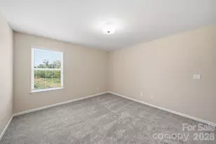 447 Tayberry Ln, Fort Mill, SC 29715 - Photo 29