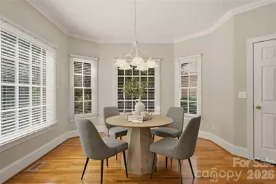 12414 Three Lakes Drive, Charlotte, NC 28277 - Photo 13