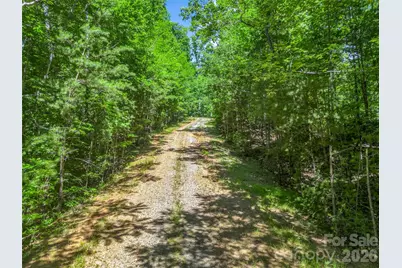 0 Hawks Nest Trail #31, Lake Lure, NC 28746 - Photo 29