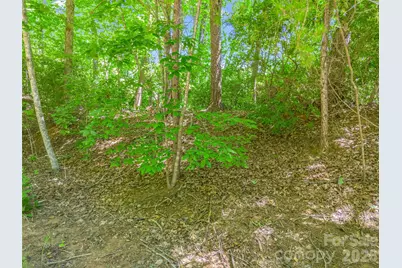 0 Hawks Nest Trail #31, Lake Lure, NC 28746 - Photo 7
