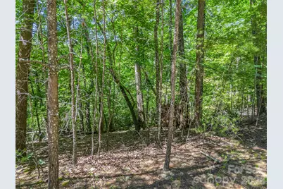 0 Hawks Nest Trail #31, Lake Lure, NC 28746 - Photo 9
