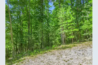 0 Hawks Nest Trail #31, Lake Lure, NC 28746 - Photo 27