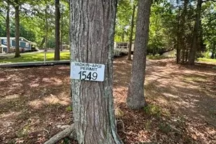 135 Panther Point Trail, Richfield, NC 28137 - Photo 13